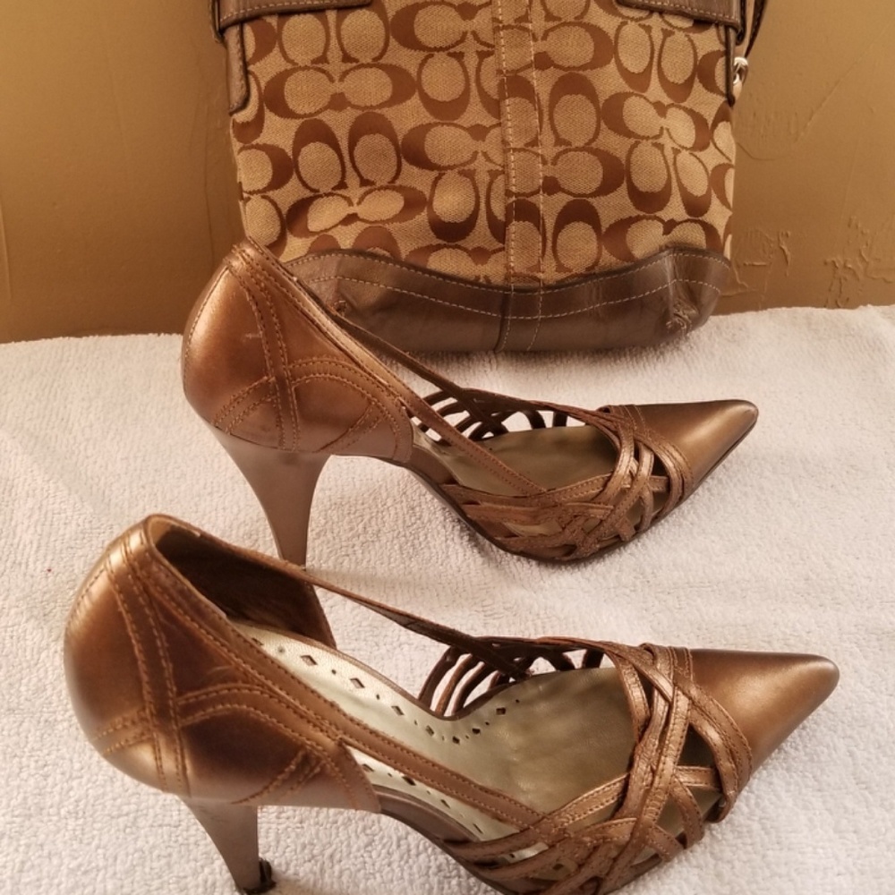 BCBG Bronze 7.5 High Heel and Handbag